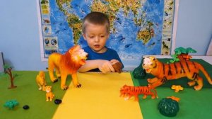 Lion boy  Играем с опасными Животными   Львы и Тигры ! Руками не трогать! Зоология для Детей
