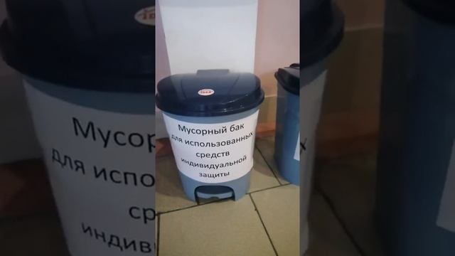 Деловой кактус готовит избирательный участок ко Дню голосования смотреть онлайн