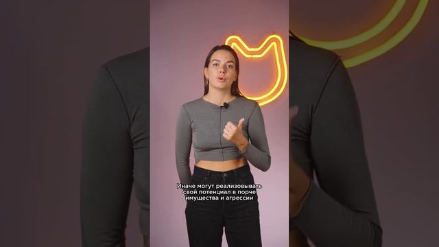 Немецкая овчарка: коротко о породе #немецкаяовчарка #shorts