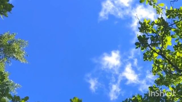 Май. Прогулка в парке. Стих читает автор Кобинец Маргарита. смотреть онлайн