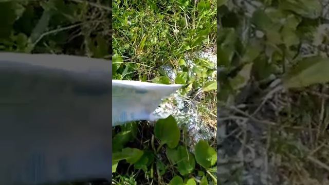Земля, я люблю тебя! смотреть онлайн