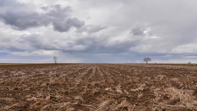 Tokina 16-28 2.8 + nikon d610 смотреть онлайн