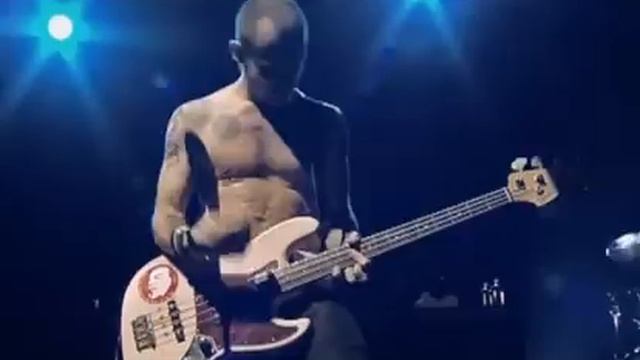 RHCP - Don't Forget Me LIVE (Frusciante is incredible !) смотреть онлайн