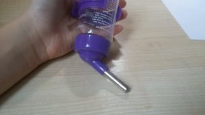 Хомяк умер без воды? Сломалась поилка! Что делать?