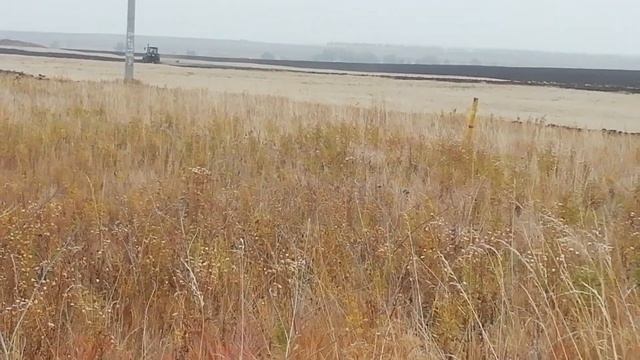 Вспашка поля. Беларус 1222.2.Сила. Мощь. Пашет красиво. Подъем зяби смотреть онлайн