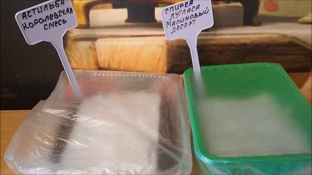 Посеяла наперстянку и лобелию/Купила ещё гладиолусы и фрезию//Наталья Харитонова смотреть онлайн