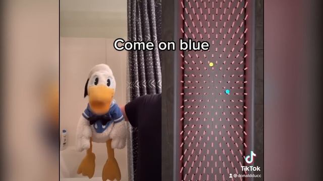 1 Hour of Donald Ducc FUNNIEST TikToks (DO NOT LAUGH OR SMILE CHALLENGE) смотреть онлайн