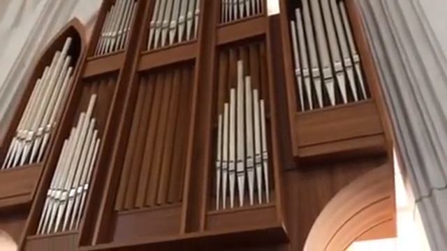Органный концерт в кафедральном соборе Калининграда смотреть онлайн