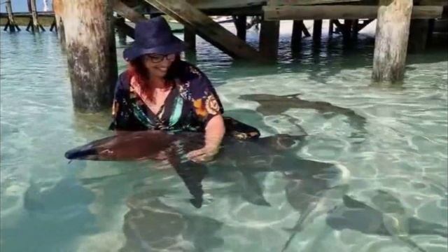 Bahama's Exuma tour смотреть онлайн