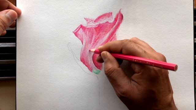 Sketching Class | Day 16 | How to draw Flower | Sketching Fundamentals | Drawing for Beginners смотреть онлайн