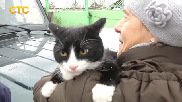 День домашних животных смотреть онлайн
