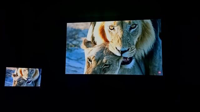 проектор Асеr 1263 екран 90 дюймів порівняння монітор 24 смотреть онлайн