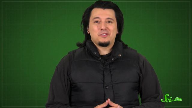 A User's Guide to the Human Body: Fun Facts You Should Know смотреть онлайн