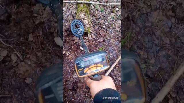 Как звучит Garrett Ace 300i на хороший Металл... #КопМеталлавлесу #копметаллавлесу #металлокоп смотреть онлайн