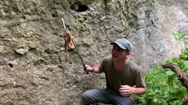 There’s a SNAKE in my BOOT! Venomous Copperhead