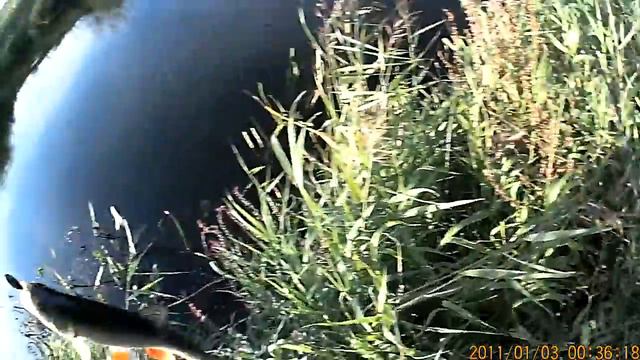 Воблер ФОП П21, "переплюйка" средней полосы смотреть онлайн