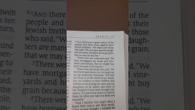 One Year Bible Reading August 12 смотреть онлайн