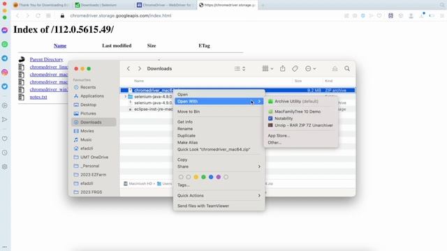 How to setup Selenium WebDriver on Eclipse IDE for Java (2023) - Easy! смотреть онлайн