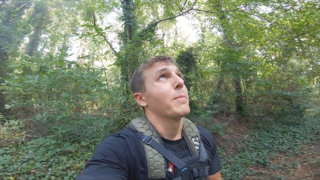 The STORY of THOR: 207"GIANT from ATLANTA. $1600 BOW GIVEAWAY in video смотреть онлайн