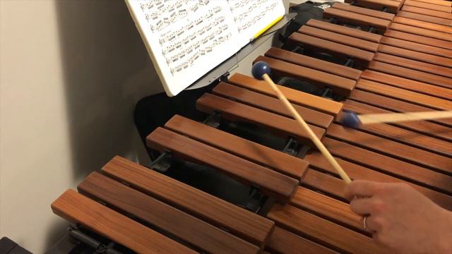 Eb/D# Harmonic Minor with Arpeggio - Practice with Me! смотреть онлайн