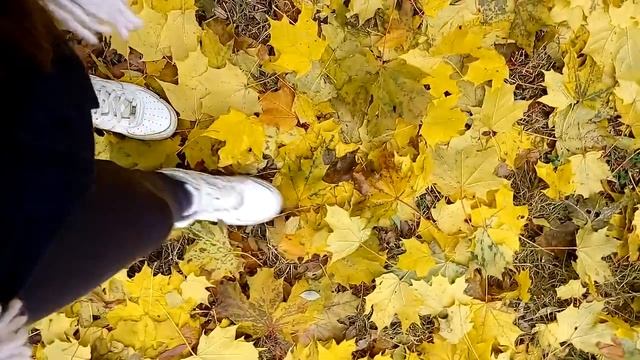 Прогулка по опавшим листьям? смотреть онлайн