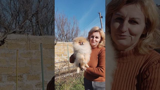 Красавчик Лаки в поиске ответственных владельцев.Цена 150т.р.Доставка+79788972514 смотреть онлайн