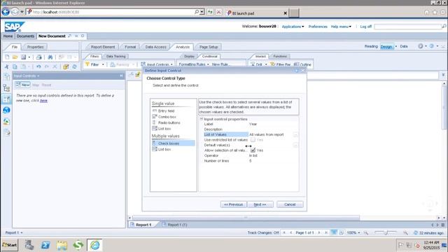 SAP Webi - Input Controls смотреть онлайн