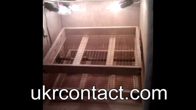 Инкубатор Автоматический смотреть онлайн