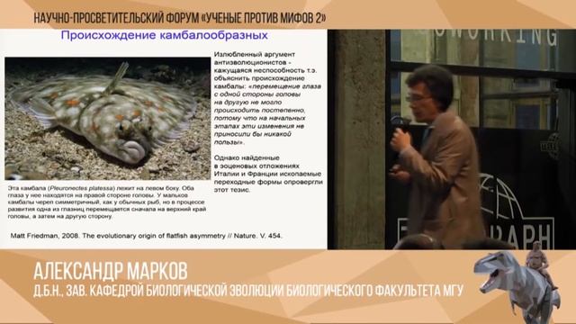 Переходные формы смотреть онлайн