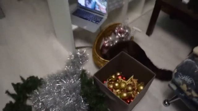 Новогодние киски-воришки смотреть онлайн