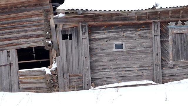 Заброшенная деревня в лесах Нижегородская обл, Уренский р/н д.Максимовка смотреть онлайн