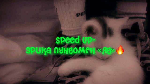 Эрика лундомен - яд [speed up]🔥✨⚡️ смотреть онлайн