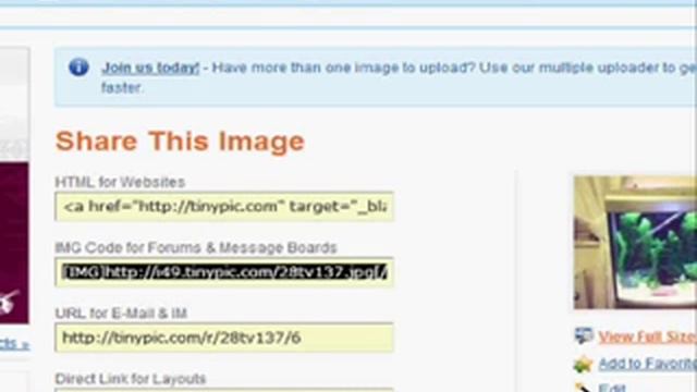 tinypic tutorial to upload images to forum смотреть онлайн