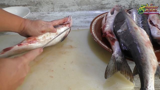 Покупаю горбушу в магазине, красная икра бесплатно. Как выбрать самку горбуши на прилавке 100% смотреть онлайн