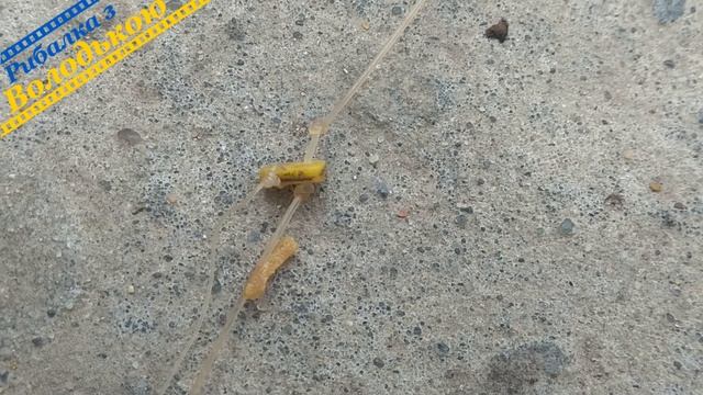 Снасть резинка для карася! Уловиста снасть резинка своїми руками! Як зробити самому резинку! смотреть онлайн