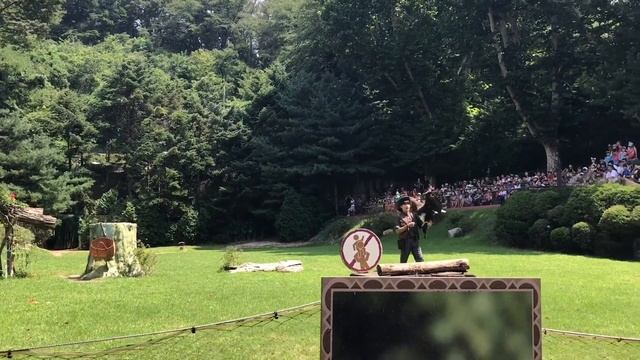 Bird Show | Everland | South Korea | смотреть онлайн