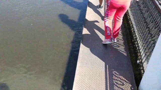 LG Q6 - пример записи видео