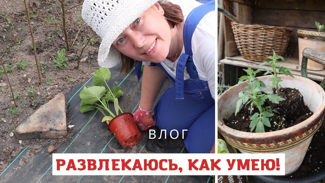 Высадила рассаду и сделала музей или огород в контейнерах! смотреть онлайн