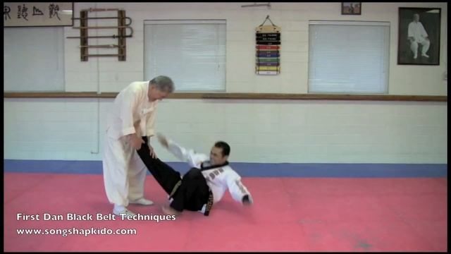 Song's Hapkido 1st Dan Techniques.mov смотреть онлайн