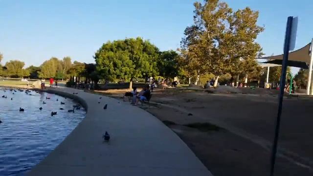 Balboa Lake. Очень красивое озеро, смотрим на уточек, лебедей, и играем с белками смотреть онлайн