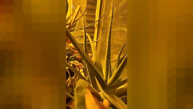 unknown смотреть онлайн