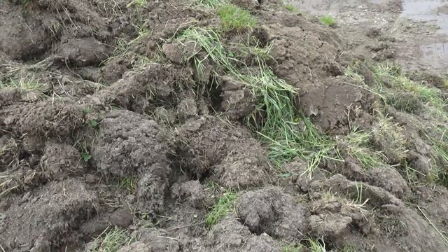 Удачный коп много старины Серебро и отличные находки часть 1