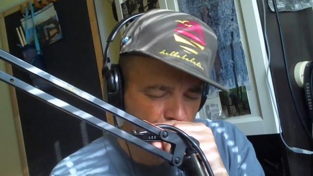 Lee Oskar B natural minor harmonica, AKAI MPX 8 смотреть онлайн