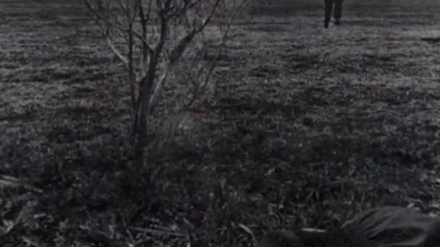 Виктор Зинчук-"Лунная соната" (неоклассика)/Jerry Uelsmann photography смотреть онлайн