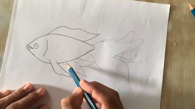 how to draw a fish in sample way // fish sketch drawing смотреть онлайн