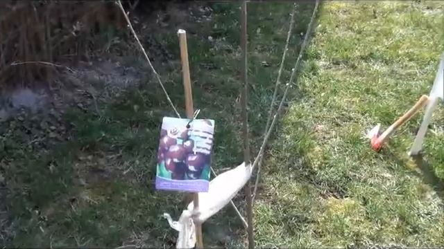 Впечатления Русо Туриста. Венгрия. Кестхей. Март 2015г. САД смотреть онлайн