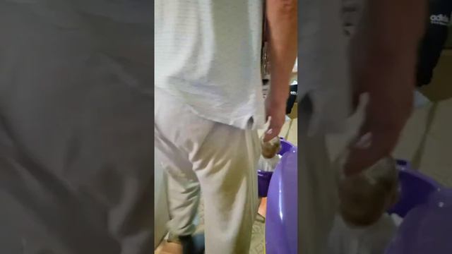 Битый небитого везёт 🤩🥰❤️ смотреть онлайн