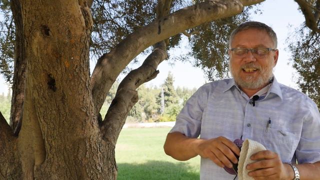 Вязаные кипы смотреть онлайн