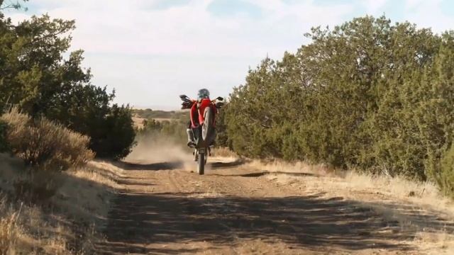 2021 Honda CRF300L And CRF300L Rally