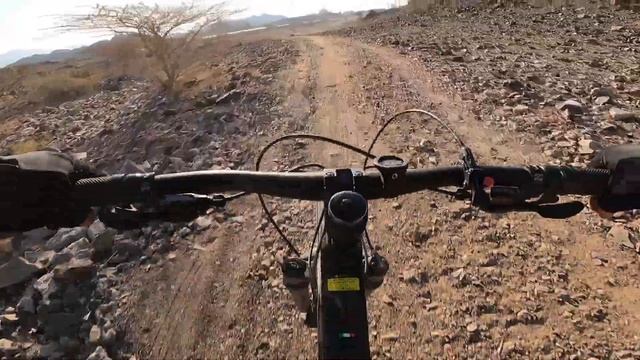 We Had Fun! смотреть онлайн